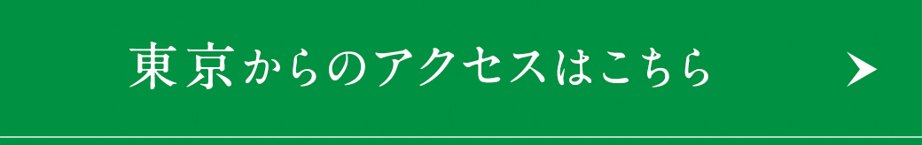 東京からのアクセスはこちら