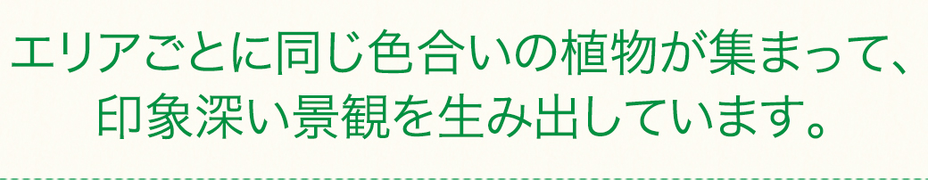 エリアごとに同じ色合いの植物が集まって、印象深い景観を生み出しています。