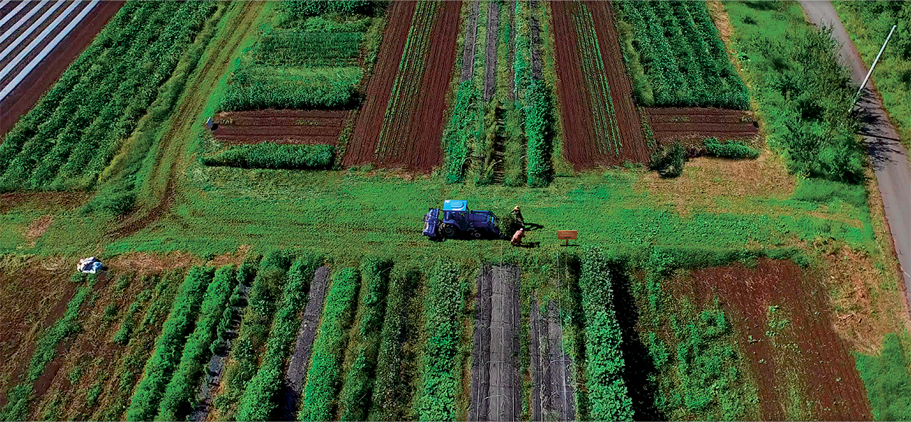 organic rainbow farm