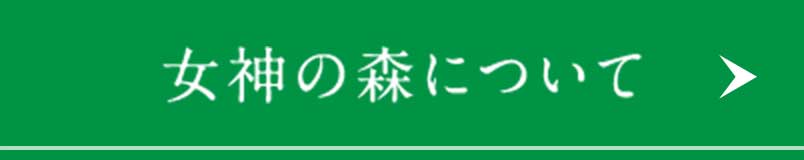 女神の森について